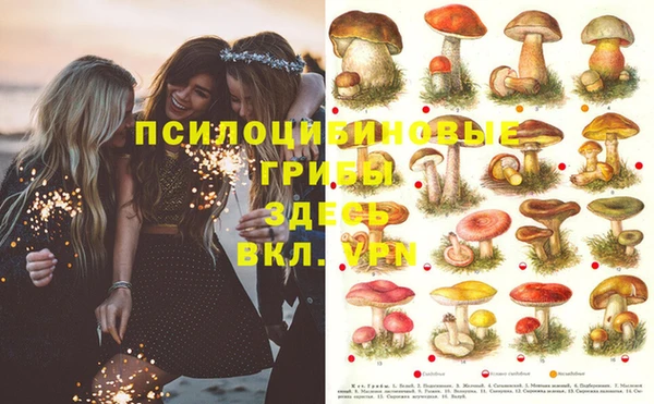 кокс Инсар