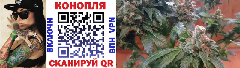 МЕГА   где купить наркотик  Грязовец  Канабис Ganja 